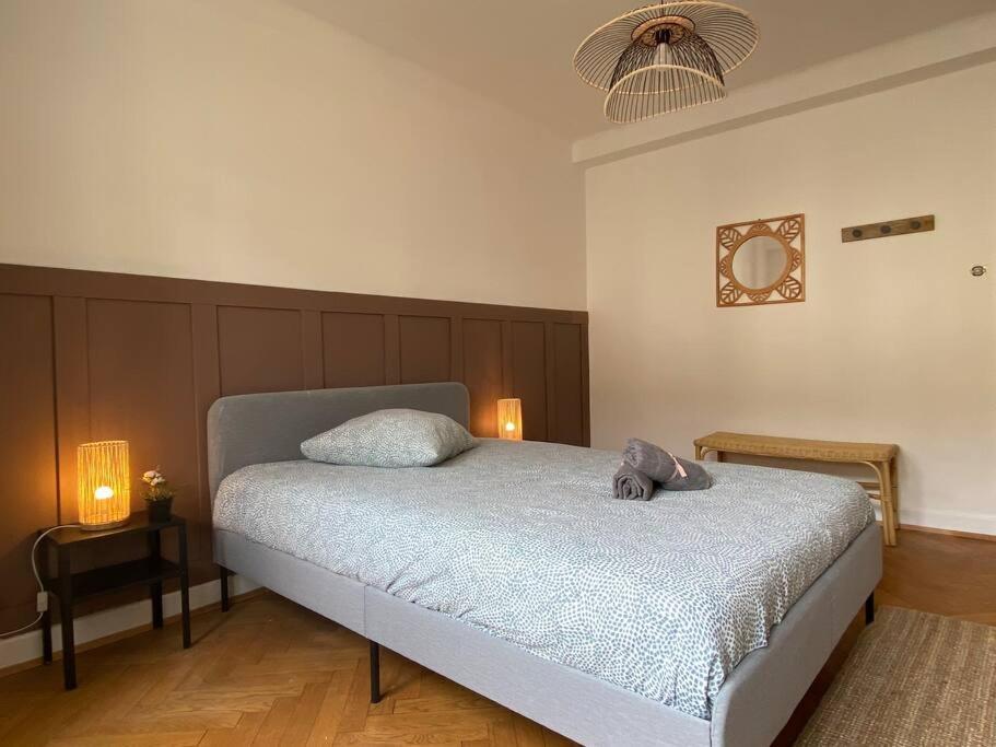 Charismatique Orangerie-10Min Parlement Eu-Wifi-Tv Apartment สตราสบูร์ก ภายนอก รูปภาพ