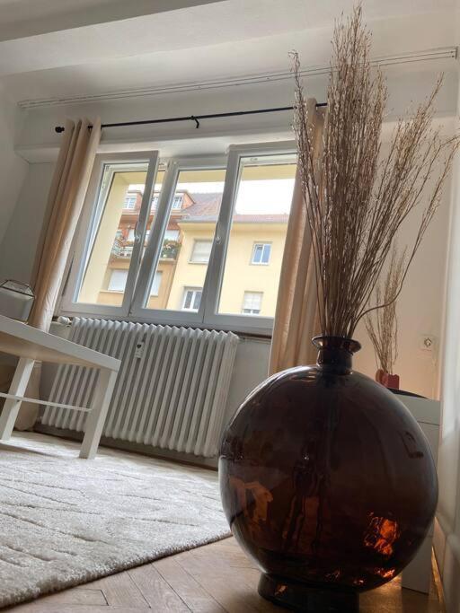 Charismatique Orangerie-10Min Parlement Eu-Wifi-Tv Apartment สตราสบูร์ก ภายนอก รูปภาพ