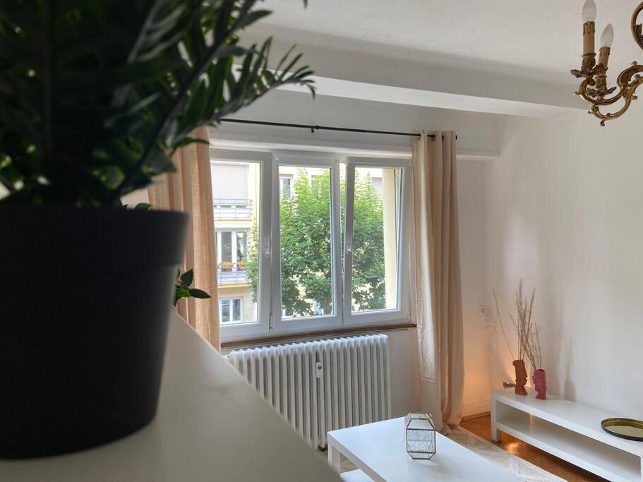 Charismatique Orangerie-10Min Parlement Eu-Wifi-Tv Apartment สตราสบูร์ก ภายนอก รูปภาพ