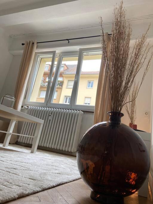 Charismatique Orangerie-10Min Parlement Eu-Wifi-Tv Apartment สตราสบูร์ก ภายนอก รูปภาพ